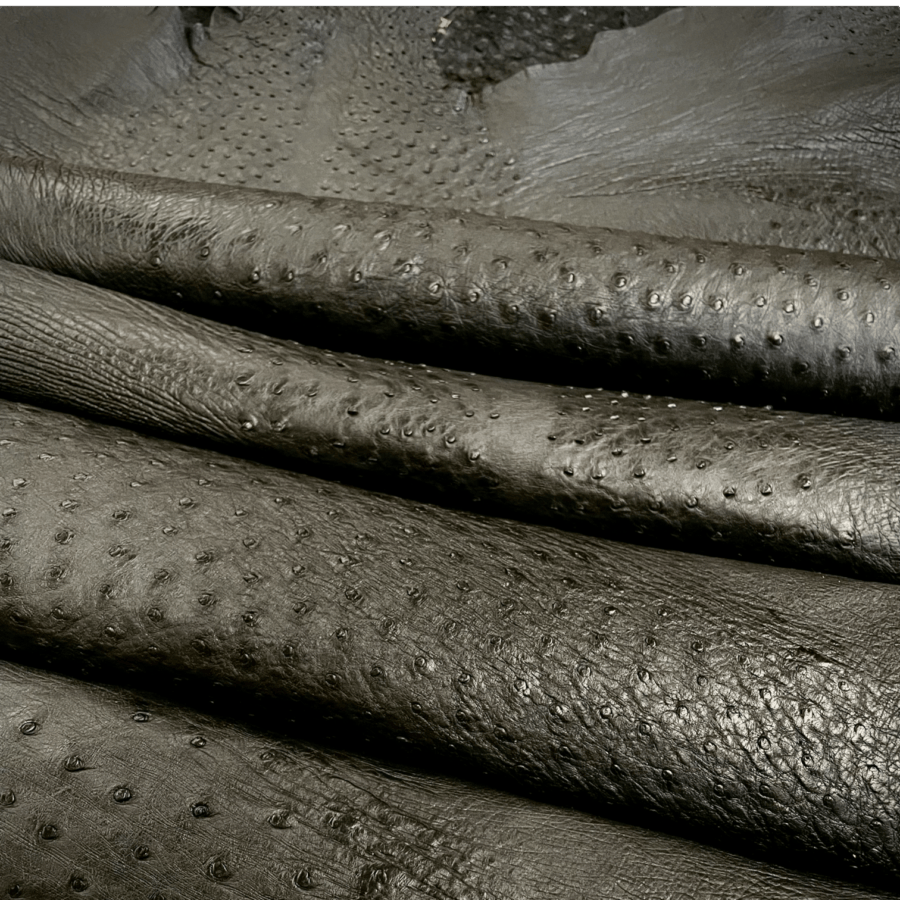 Black Ostrich Leather Hides