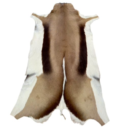 image002 12