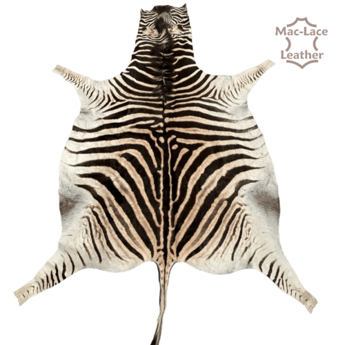 Zebra Skin 1st Grade Hide Rug