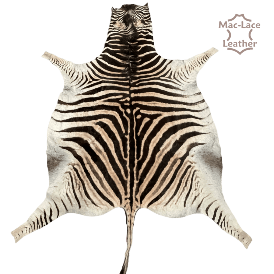 Zebra Skin 1st Grade Hide Rug