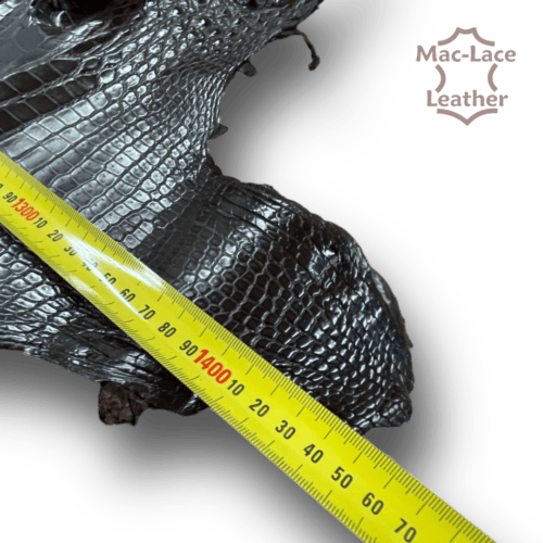 Crocodile Belly Sizes