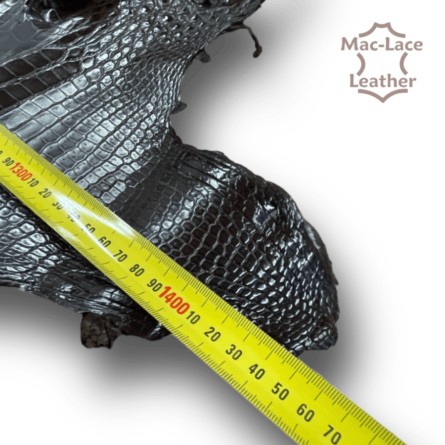Crocodile Belly Sizes