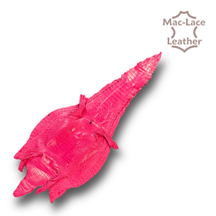 Pink Crocodile Belly