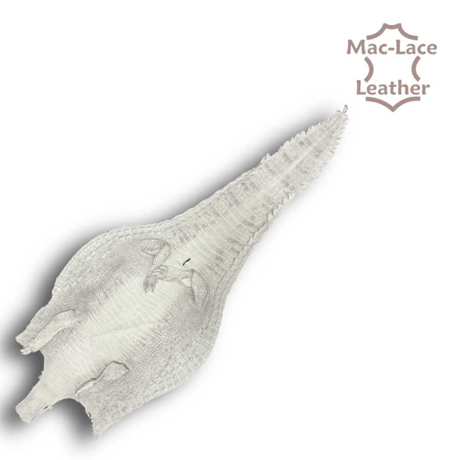 White Natural Crocodile Belly